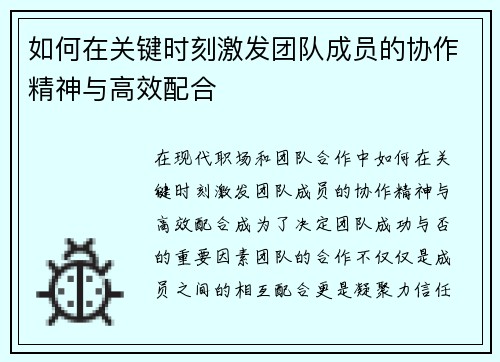 如何在关键时刻激发团队成员的协作精神与高效配合