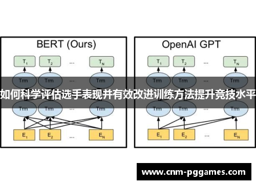 如何科学评估选手表现并有效改进训练方法提升竞技水平