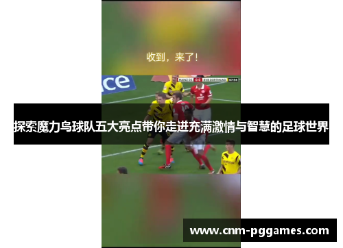 探索魔力鸟球队五大亮点带你走进充满激情与智慧的足球世界