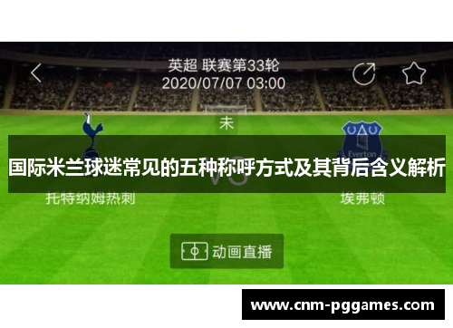 国际米兰球迷常见的五种称呼方式及其背后含义解析