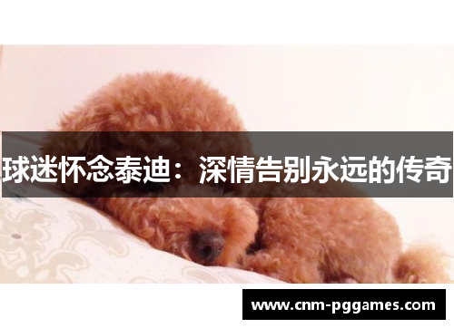 球迷怀念泰迪：深情告别永远的传奇