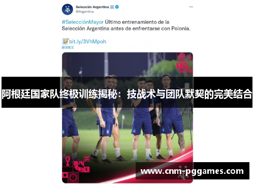 阿根廷国家队终极训练揭秘：技战术与团队默契的完美结合