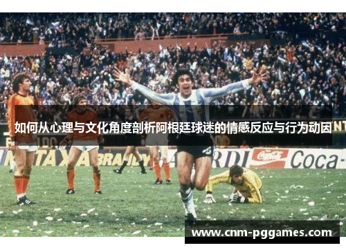 如何从心理与文化角度剖析阿根廷球迷的情感反应与行为动因