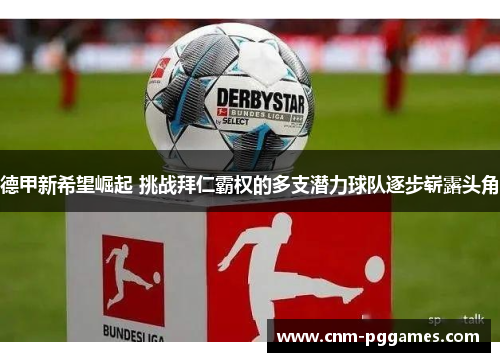 德甲新希望崛起 挑战拜仁霸权的多支潜力球队逐步崭露头角