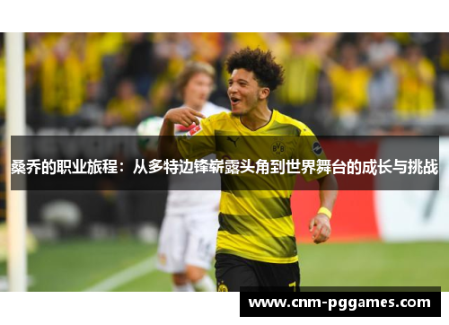 桑乔的职业旅程：从多特边锋崭露头角到世界舞台的成长与挑战