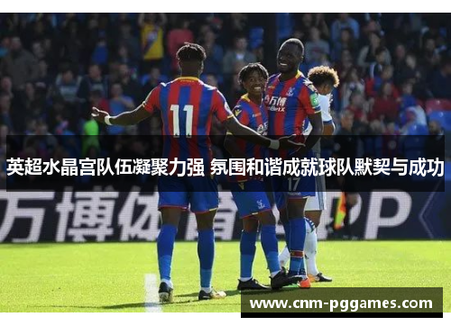 英超水晶宫队伍凝聚力强 氛围和谐成就球队默契与成功