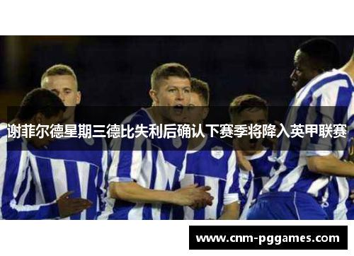 谢菲尔德星期三德比失利后确认下赛季将降入英甲联赛