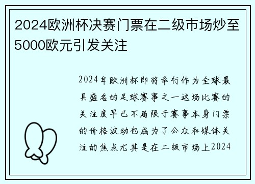 2024欧洲杯决赛门票在二级市场炒至5000欧元引发关注